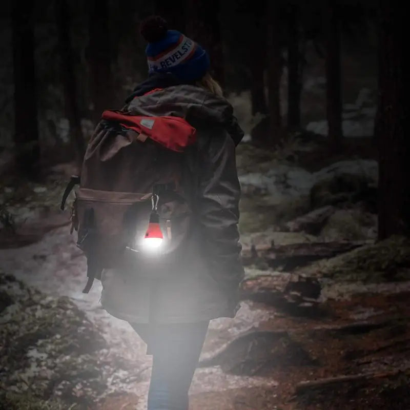 Portable Camping Light Mini LED Bulb Emergency Lamp