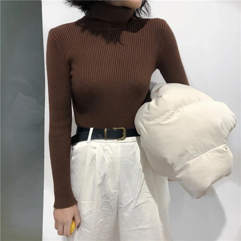 Autumn Winter Thick Sweater Women Knitted Ribbed
