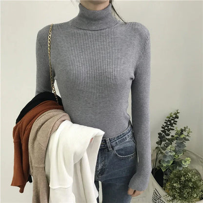 Autumn Winter Thick Sweater Women Knitted Ribbed