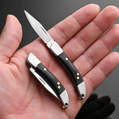 Mini Folding Knife Portable Keychain Pocket Knife Stainless Steel